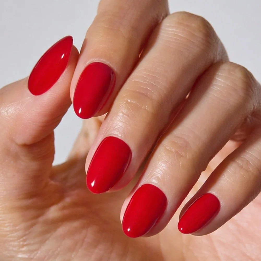 NP Classic Red [Short Oval] - Image 13