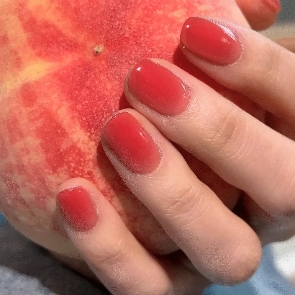 N Peach Jelly - Image 5