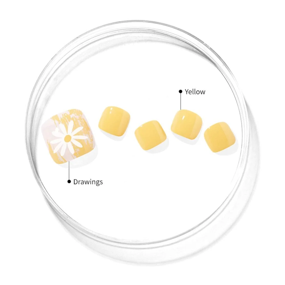 P Sun Daisy - Image 5